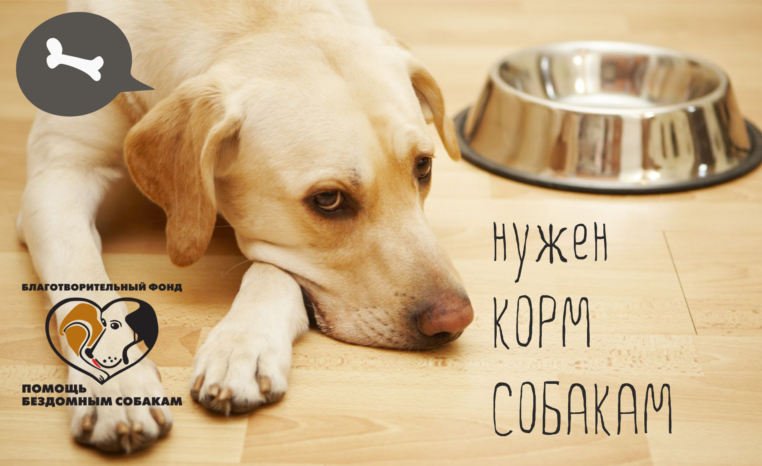 What does your pet eat. Миска для собак. Миски для щенков. Собака с пустой миской.