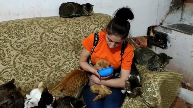 Питомцы приюта "Тимка"